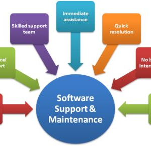 Installation of Software with support
